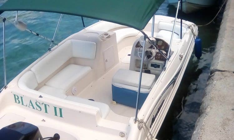 Foto 4