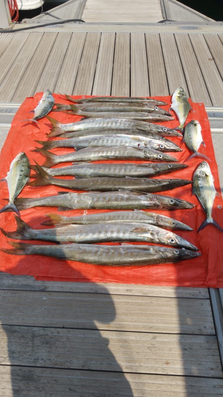 Foto 12